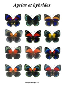 中南米の蝶 関連書籍